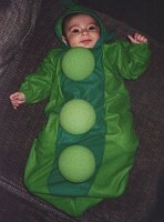 slides/peapod1.jpg peapod1