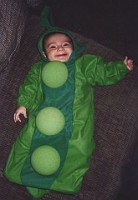 slides/peapod2.jpg peapod2