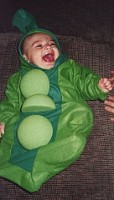 slides/peapod3.jpg peapod3