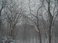 slides/PC300014.JPG PC300014