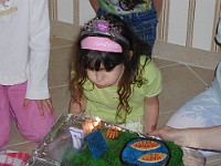 P6010029