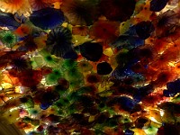 P1010588