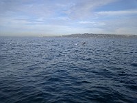 P1010665