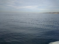 P1010683