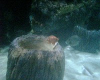 IMG00238