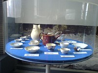 DSC00012