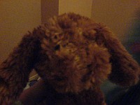 DSC00062