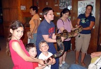 Holding snake