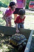 Jordan and Jessie with tortoise at Nature Center