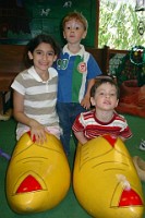 wooden_shoes