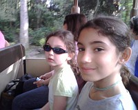 IMG00010