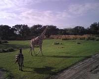 IMG00015