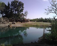 IMG00017