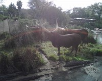 IMG00018