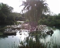 IMG00019