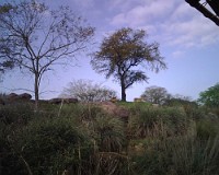 IMG00020
