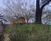 IMG00023