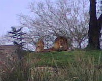 IMG00024