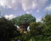 IMG00033