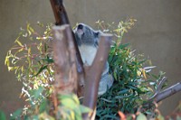 Dec2009 081
