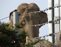 Dec2009 184