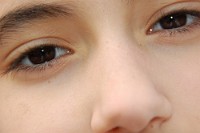 Dec2009 341