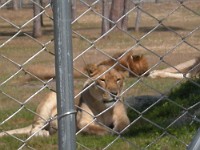 DSCN0283