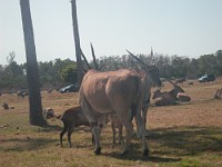 DSCN0290