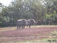 DSCN0304