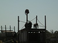 DSCN0306