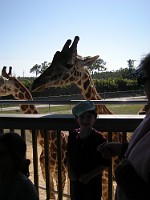 DSCN0329