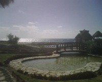 IMG00121