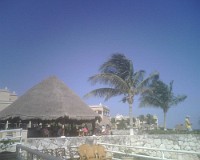 IMG00125