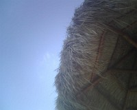 IMG00126