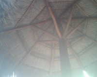 IMG00127