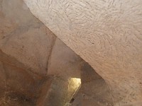 SDC10438