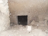 SDC10447