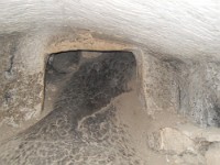 SDC10453