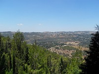 SDC10089