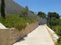 SDC10090