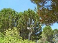 SDC10097