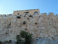 SDC10101