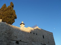 SDC10118