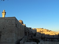 SDC10119