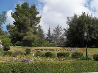 SDC10124