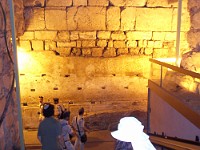 SDC10155