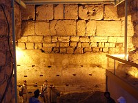 SDC10156