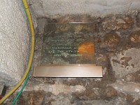 SDC10164