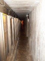 SDC10167