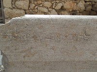SDC10194